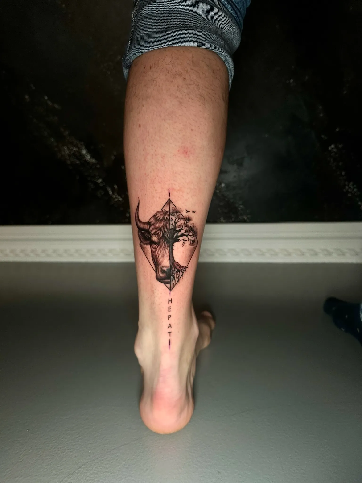 Minimalism Bull Tattoo