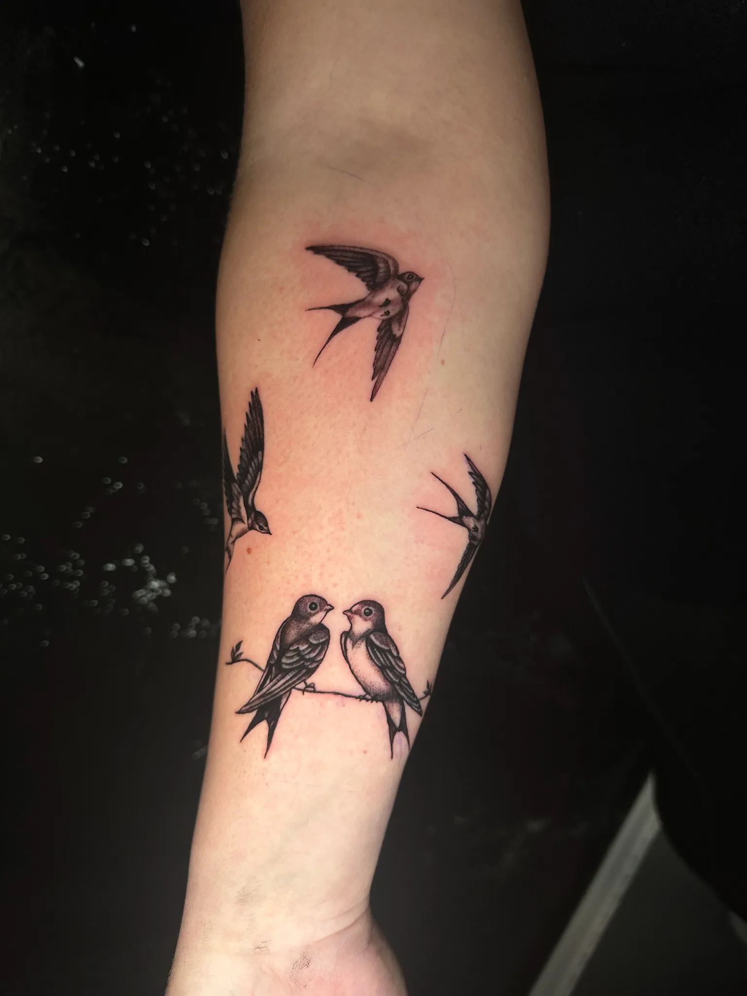 Minimalism Birds Tattoo